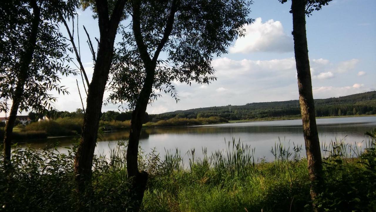 Ferienwohnung In Der Vulkaneifel Ulmen Esterno foto
