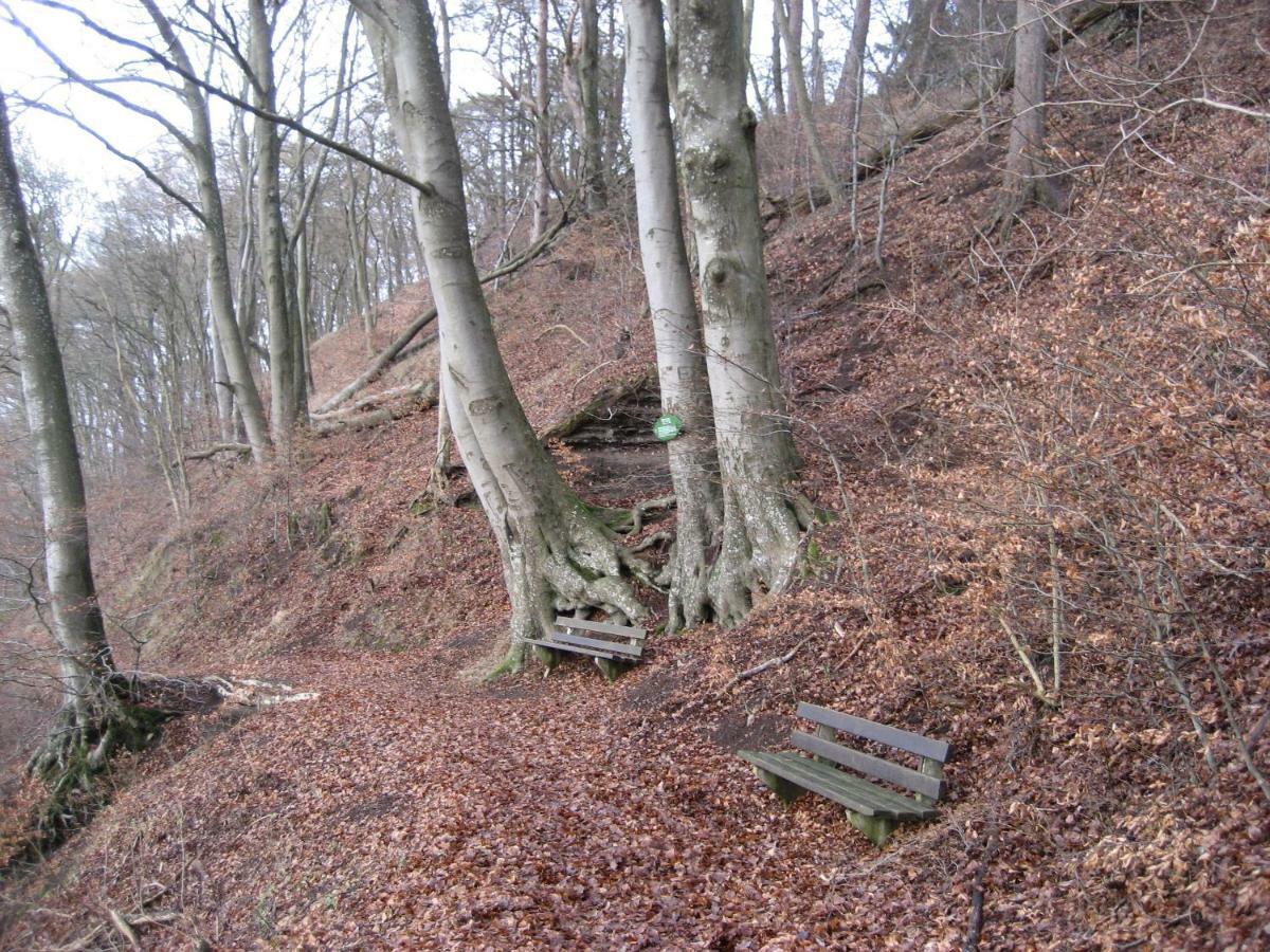 Ferienwohnung In Der Vulkaneifel Ulmen Esterno foto